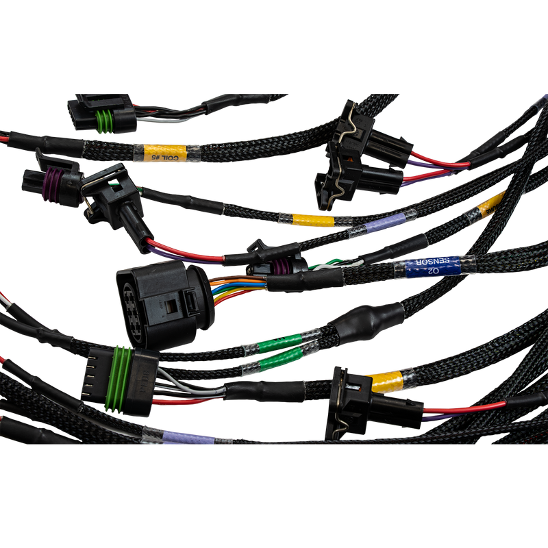 FT450/FT550 6 Cylinder Universal A Harness