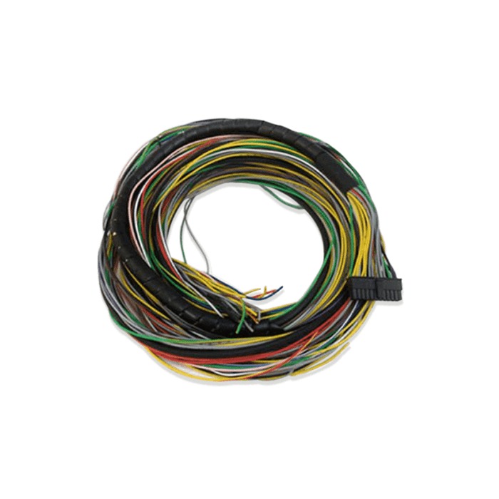 Arnés principal sin terminar FT250/300/350/400