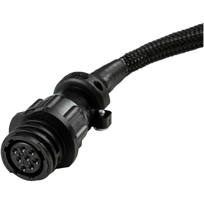 Faisceau adaptateur EGT-8 vers Dual EGT-4