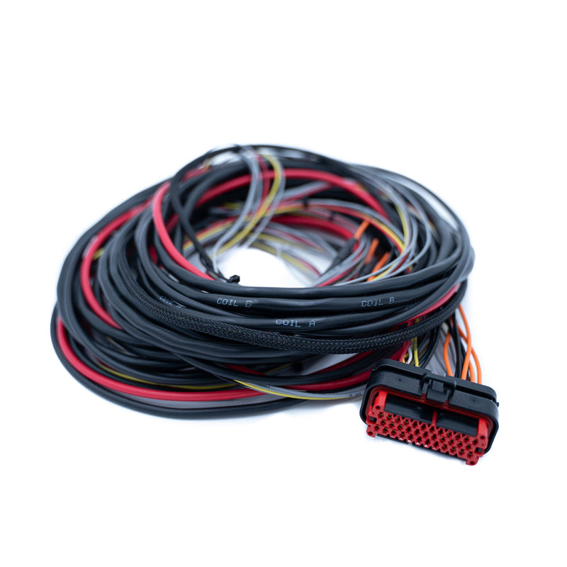Harnais FTSPARK-4