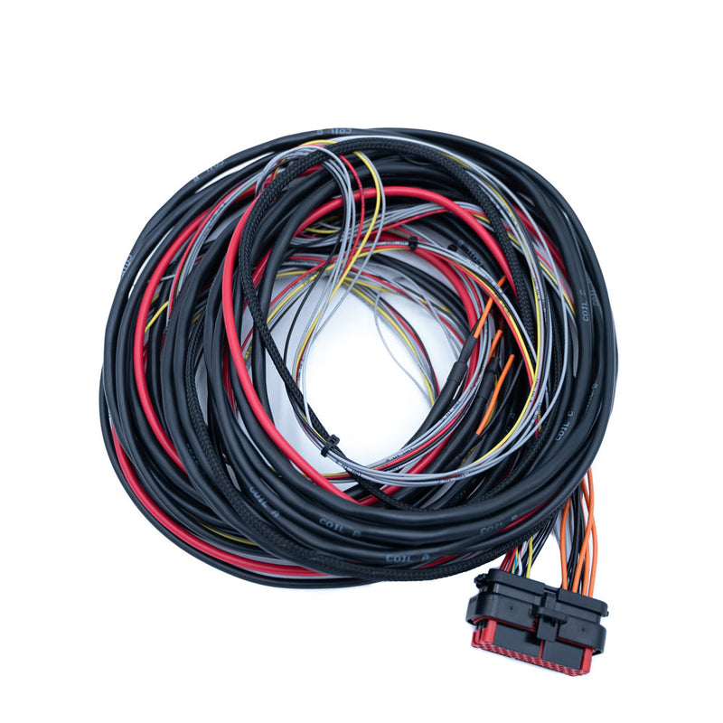 Harnais FTSPARK-4