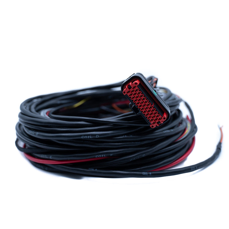 Harnais FTSPARK-8