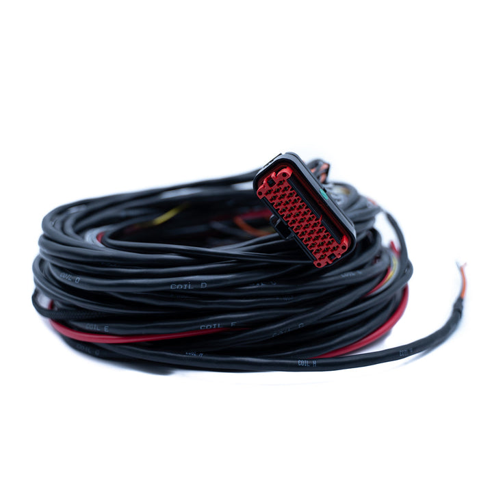 FTSPARK-8 Harness