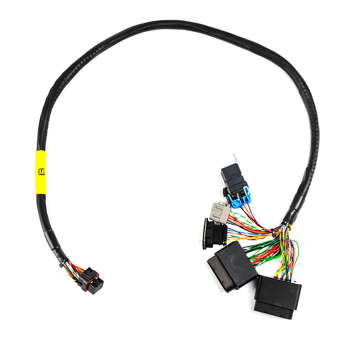 FT450 2009 & Older Rotax Harness