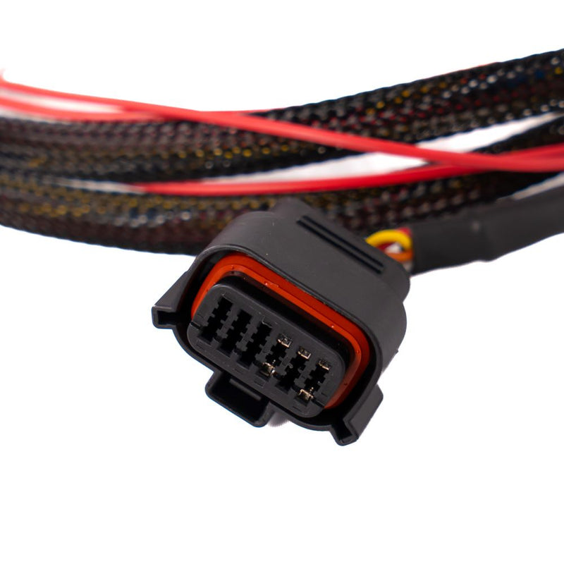 Faisceau adaptateur NanoPRO vers OBD2
