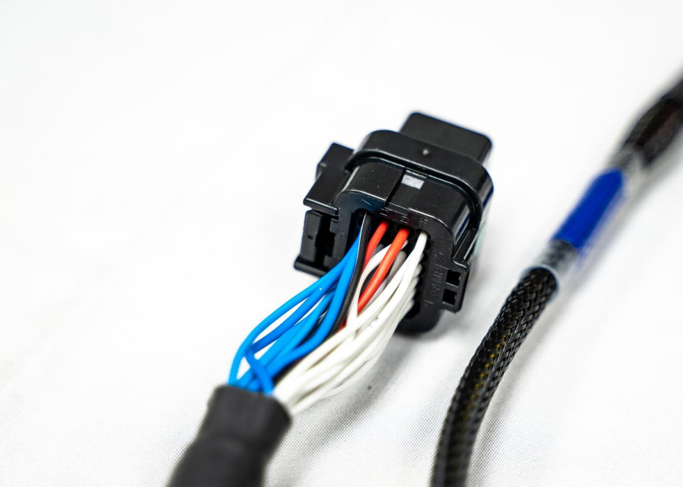 Arnés universal A de 4 cilindros FT450/550