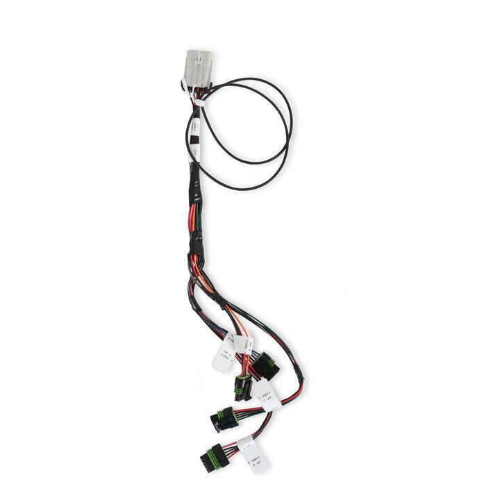 Holley 558-312 HP Smart Coil harness detail