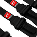 FT PRO 6 Point Camlock Drag Racing Harness SFI 2" - Billet Pro Shop