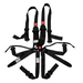 FT PRO 6 Point Camlock Drag Racing Harness SFI 2" - Billet Pro Shop