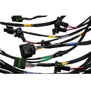 FT450/FT550 6 Cylinder Universal A Harness - Billet Pro Shop