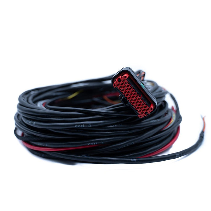 FTSPARK - 8 Harness - Billet Pro Shop