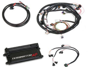 Holley Dominator EFI Kit 550-653 - Ford Main Harness