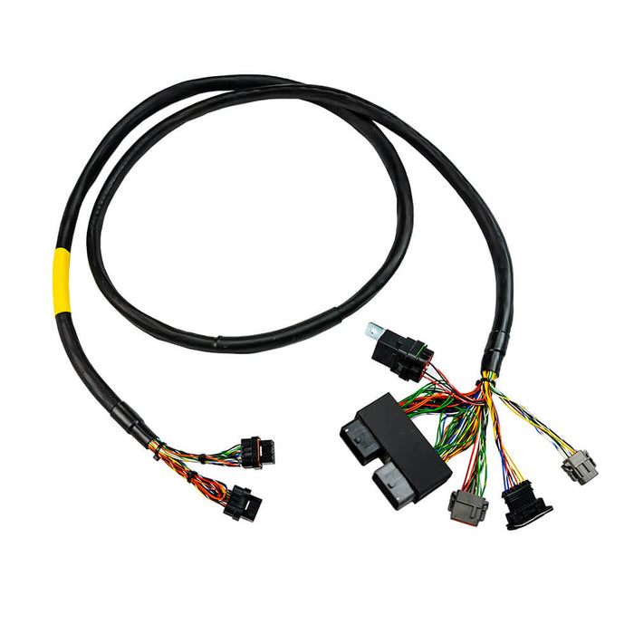 FT550 Rotax 300 Harness