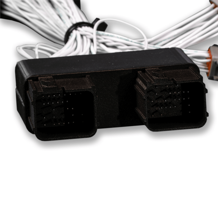 FT550LITE 2018-2025 Yamaha 1800/1900 Short Harness (2 Plug)