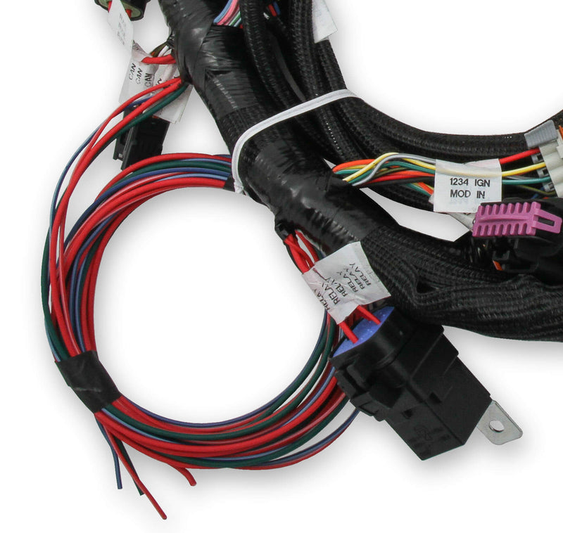 Holley EFI Ford Coyote Engine Main Harness W/ TI-VCT And Stock Coils (2011-2017) - Billet Pro Shop