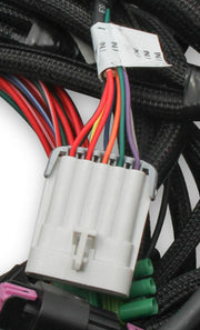 Holley EFI Ford Coyote TI-VCT Main Harness For Holley EFI HP Smart Coils (2011-2017) - Billet Pro Shop