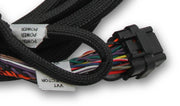 Holley EFI Ford Coyote TI-VCT Sub Harness (2011-2012) - Billet Pro Shop