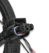 Holley EFI Ford Coyote TI-VCT Sub Harness (2011-2012) - Billet Pro Shop