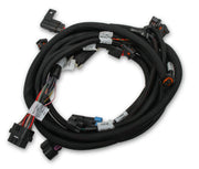 Holley EFI Ford Coyote TI-VCT Sub Harness (2013-2017) - Billet Pro Shop